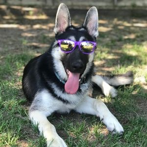 Meet your Posher, John